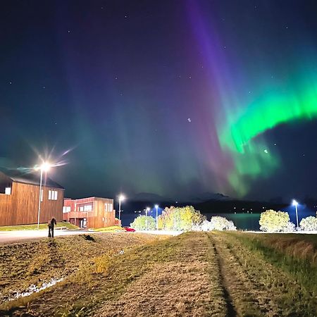 Villa Nordheim Tromso Ngoại thất bức ảnh